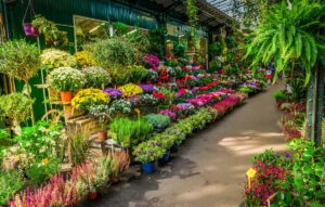Marché aux fleurs © Adobe stock