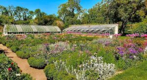 Potager © Château de Saint-Jean de Beauregard