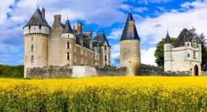Château de Montpoupon © Adobe Stock