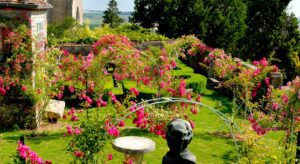 Jardins Henri Le Sidanec © Jean-Pierre His / gerberoy.net