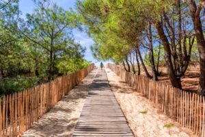 La plage de Lacanau Océan © Adobe Stock - Eric Cowez