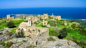 Occi © La Corse Autrement