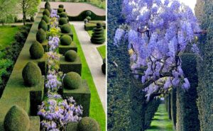 Jardins La Ballue @chateaudelaballue