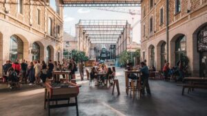 Darwin - © Teddy Verneuil (@lezbroz)