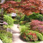 Jardin japonais du musée Albert-Kahn