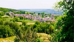 Champillon © Adobe Stock