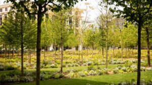 La forêt urbaine sur la place de la Catalogne - © Joséphine Brueder / Ville de Paris