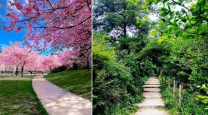 Parc Martin Luther-King