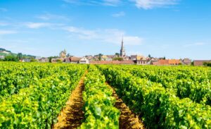 Meursault © Adobe Stock