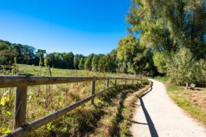 © Adobe Stock - AlcelVision