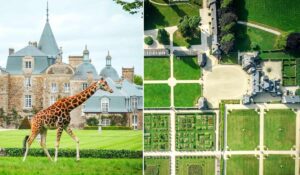 Domaine de la Bourbansais © @domainedelabourbansais