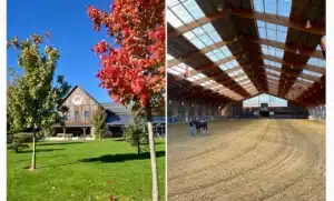 Bo Ranch © AxelleC