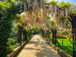 Promenade Pereire