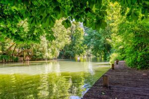 Chevreuse