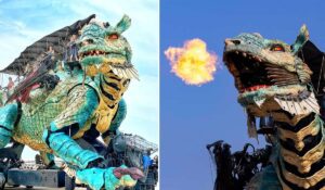 La Compagnie du Dragon, Dragon de Calais © Stéphane Ribeiro Da Ascencao et @compagniedudragon