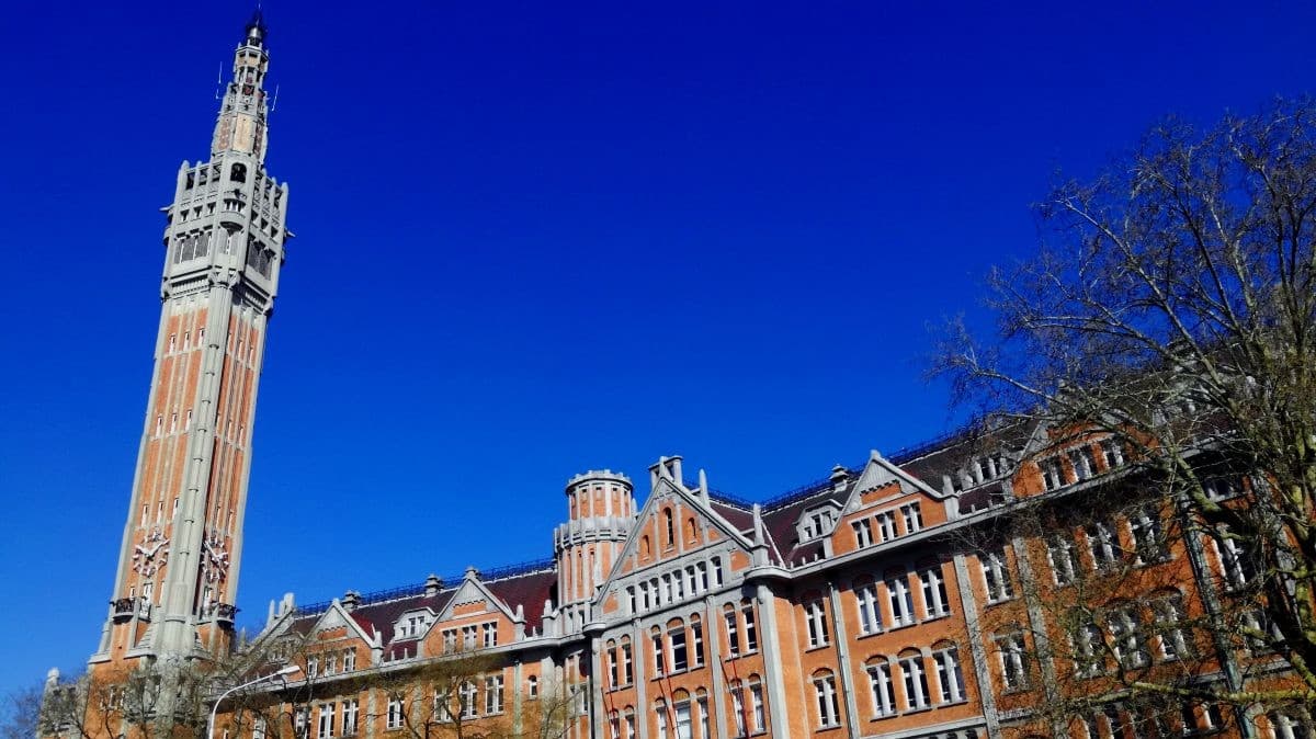 Hôtel de Ville de Lille et son beffroi © Adobe Stock