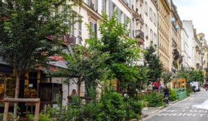 La rue des Martyrs. DR