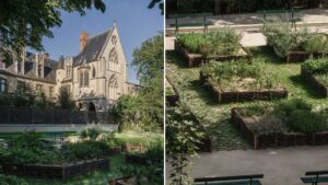 Le jardin de Cluny © Musée de Cluny