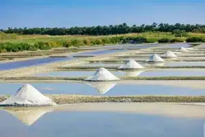 Sel de Noirmoutier © Office de Tourisme de Noirmoutier