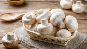 Les champignons de Paris - © Adobe Stock