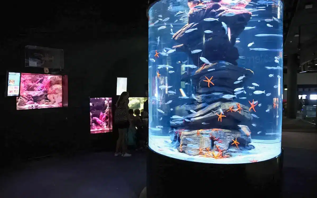 © Aquarium de Paris
