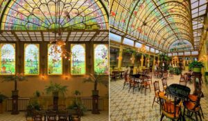 Jardin d'Hiver des Ursulines © @visitwintertuin