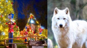 Un Noël féérique à Legendia Parc © Legendia Parc