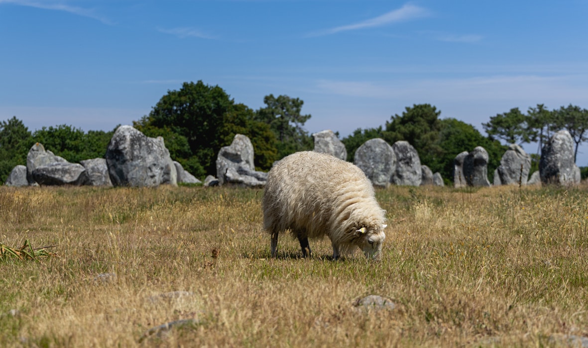 Ces pierres sont alignées sur près de 4 kilomètres. 