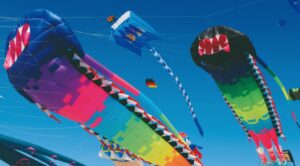 Rencontres internationales de cerfs-volants Berck-sur-Mer - Zigzag