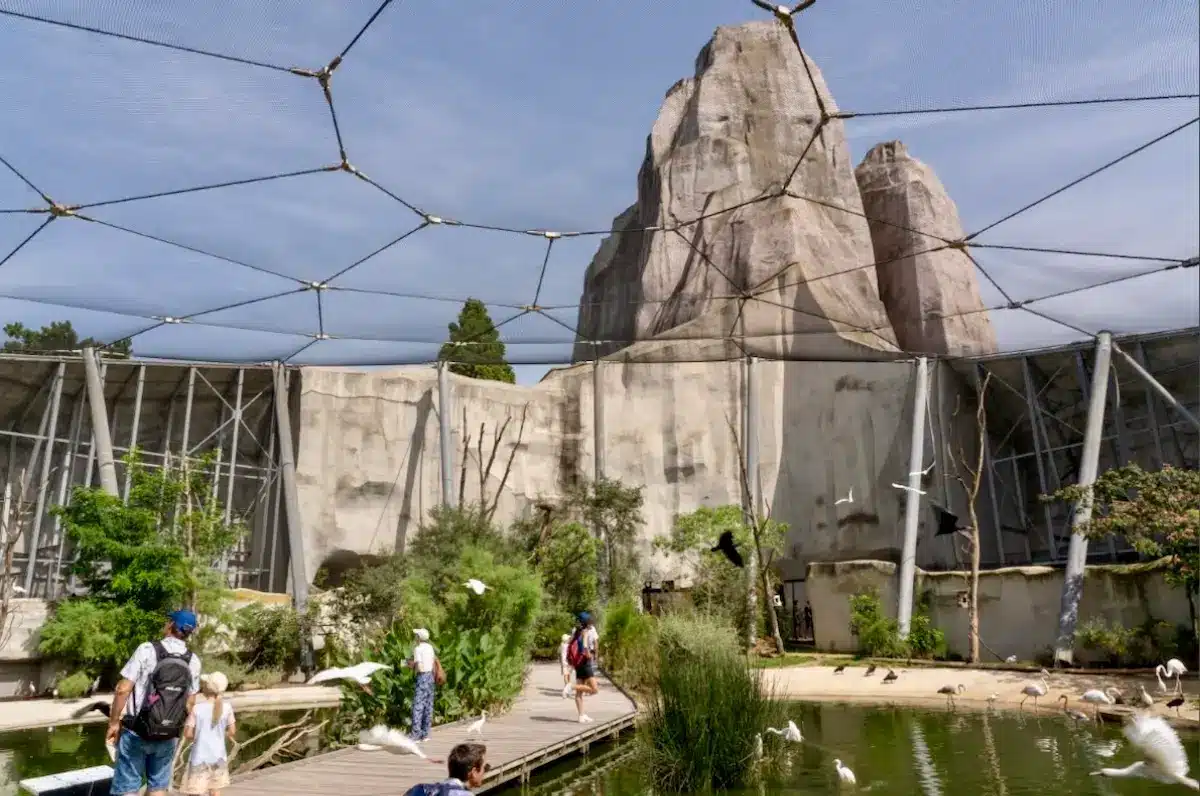 La grande volière PZP©MNHN - E. Blanc