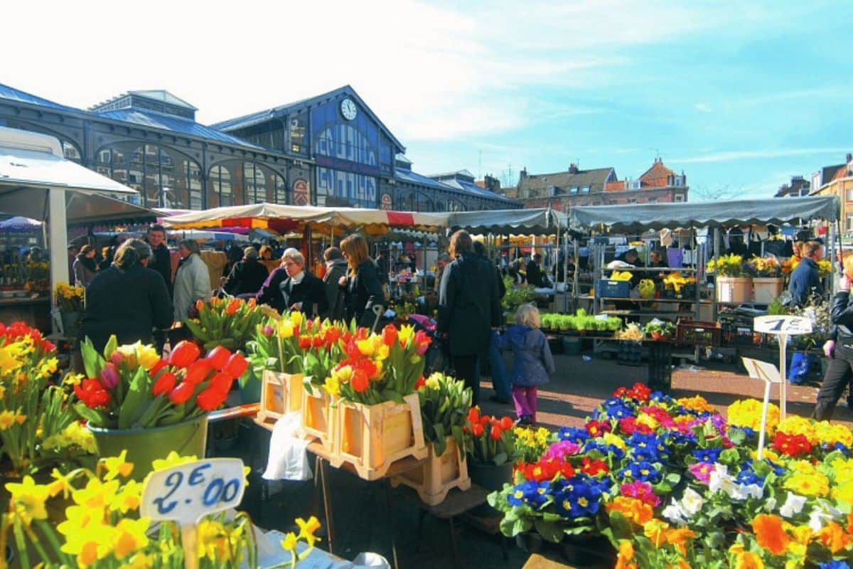 Le marché de Wazemmes au printemps © Cirkwi - Zigzag