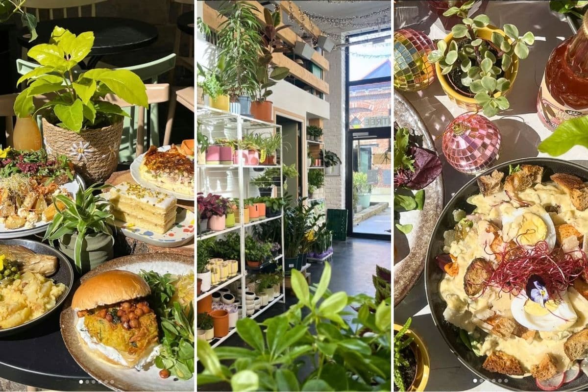Restaurant fête des mères La Wilderie Saint André - Zigzag