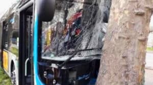 Bus accidenté contre un arbre porte de Saint-Cloud à Paris après le malaise d’un chauffeur en pleine canicule