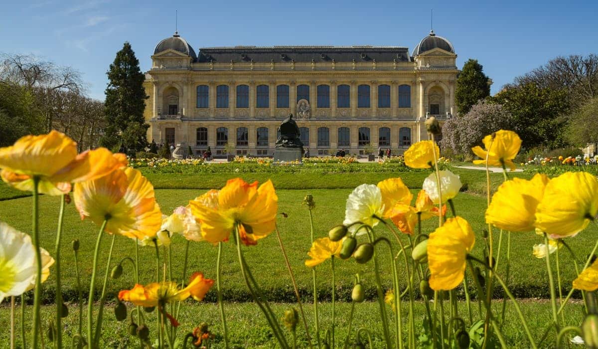 Le jardin des plantes jadis " jardin royal des plantes médicinales "