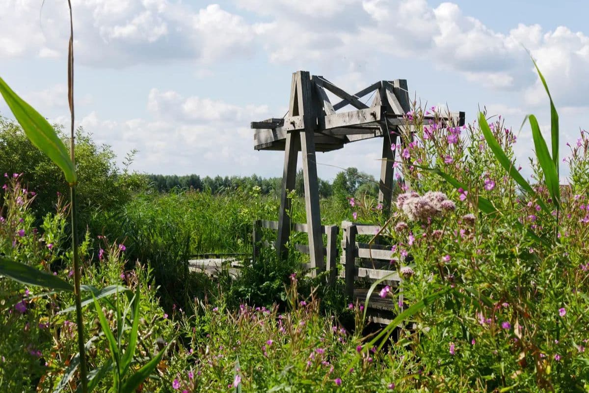 Réserve Naturelle Nationale des étangs du Romelaëre © A Chaput / Pas de Calais Tourisme - Zigzag