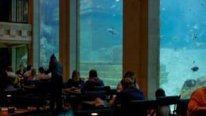Activités insolites - Restaurant The Abyss © Pairi Daiza﻿ - Zigzag