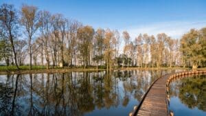 Parc de la Deûle © Communauté Urbaine de Lille - Zigzag