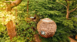 Cocoon Étoilé avec jacuzzi privatif dans les arbres au Bois de Rosoy