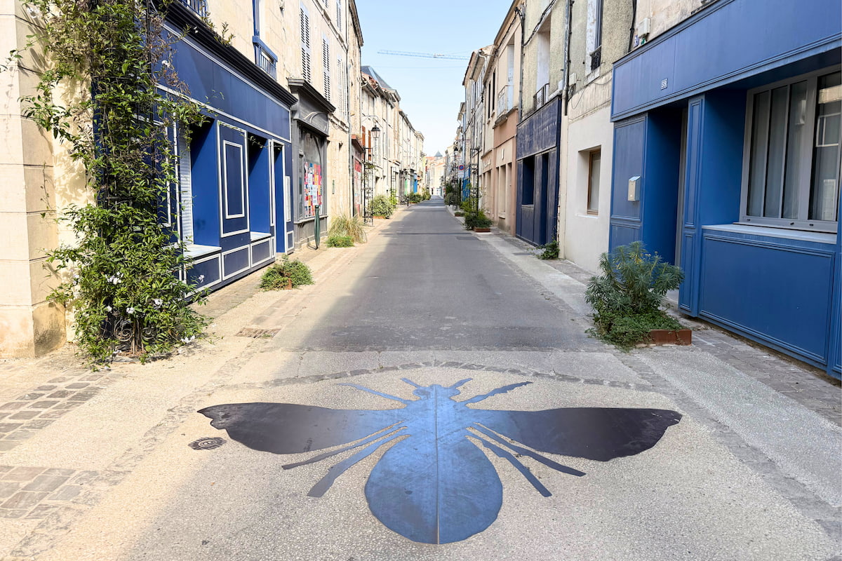 Insecte géant peint sur la chaussée dans une rue du centre de Fontenay-le-Comte