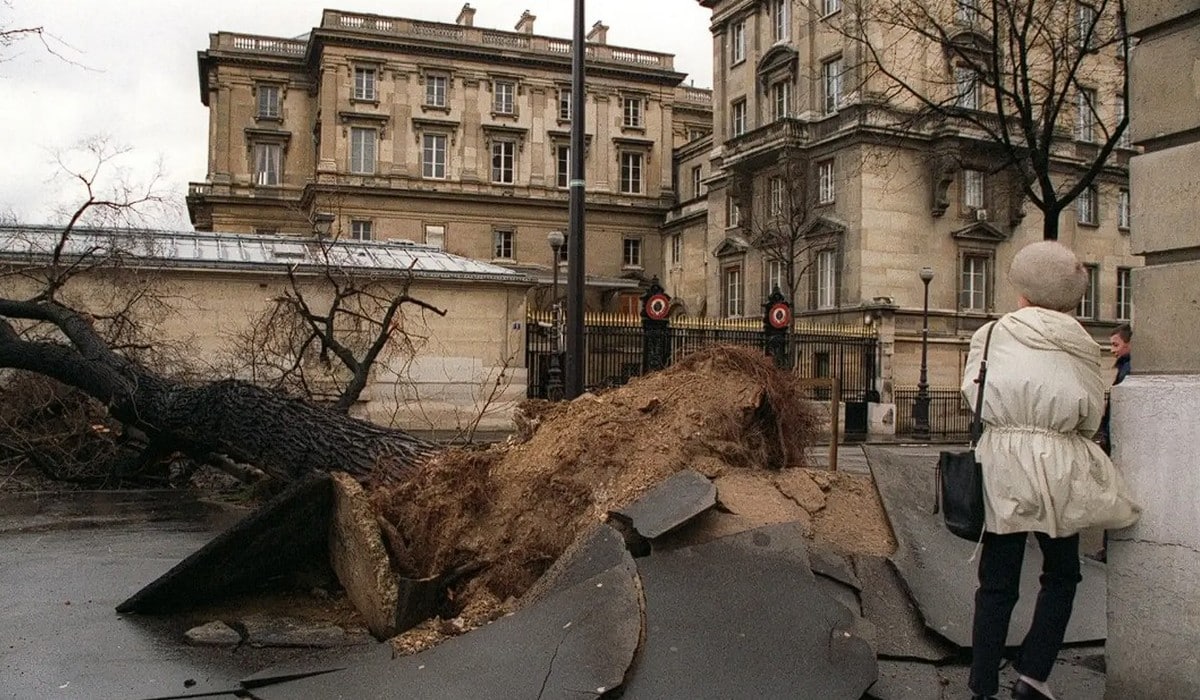 Tempête Lothar à Paris, dégâts et arbres déracinés