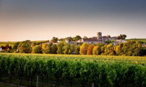 @Jas Hennessy & Co, Alain Benoit
